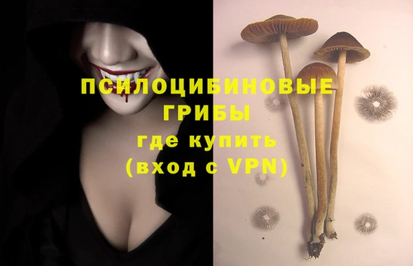 прущая мука Бугульма