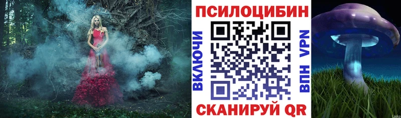 Галлюциногенные грибы MAGIC MUSHROOMS Купить закладки Байкальск